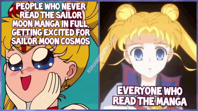 people who never read the sailor moon manga in full