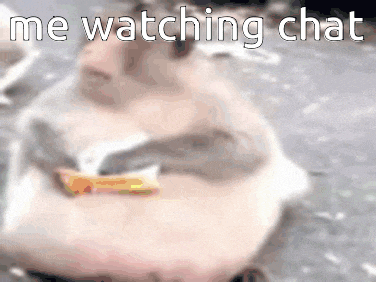 a hamster is holding a piece of food and says `` me watching chat ''