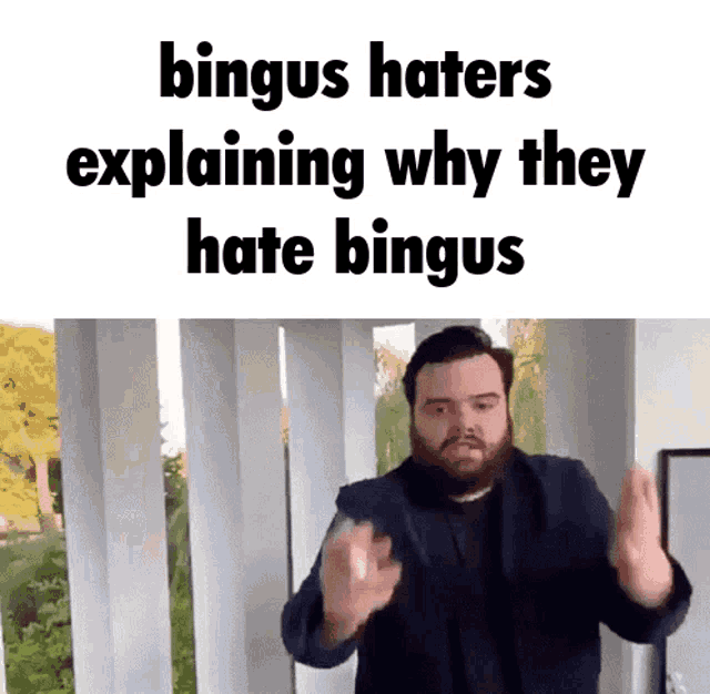 Bingus Bingus Haters GIF - Bingus Bingus Haters Bingus Haters Explaining GIFs