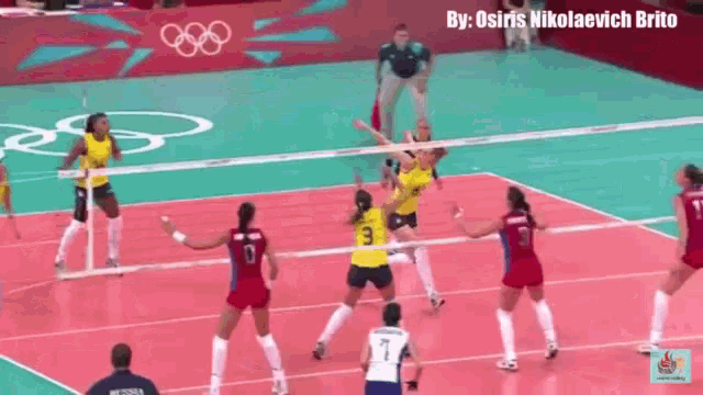 Womens Volleyball GIF - Womens Volleyball GIFs