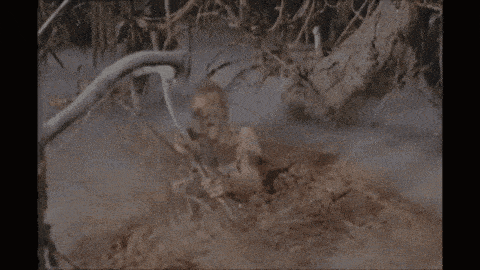 a snake is crawling through the roots of a tree in a forest