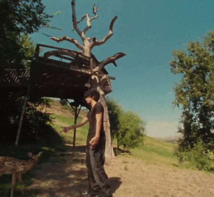 a man stands in front of a tree with a deer in the background