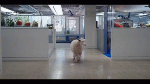 Clifford The Big Red Dog Angry Sheep GIF - Clifford The Big Red Dog Angry Sheep GIFs