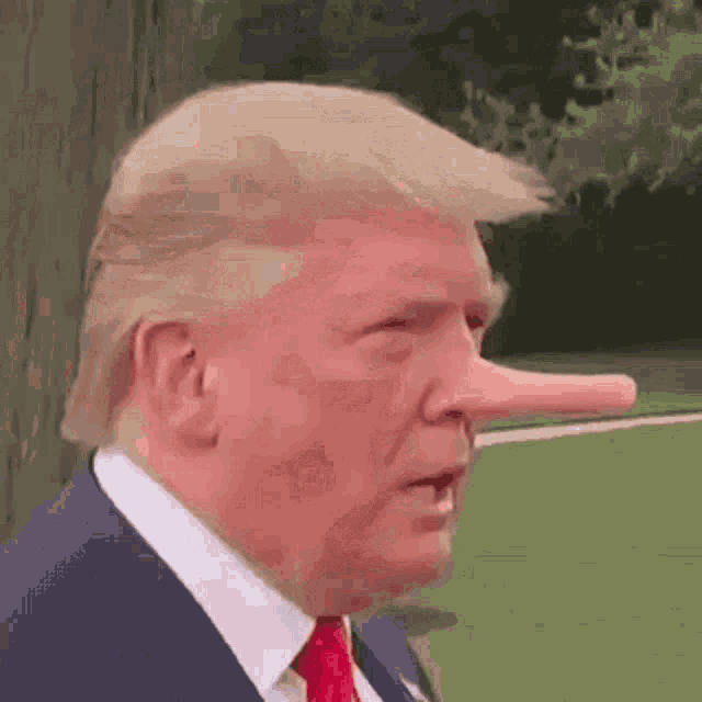 donald trump is wearing a suit and tie with a long nose and a fake nose .
