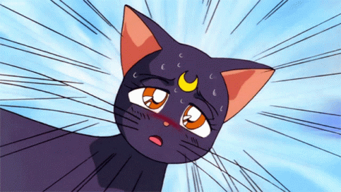 Sailor Moon Cat GIF - Sailor Moon Cat Screaming GIFs