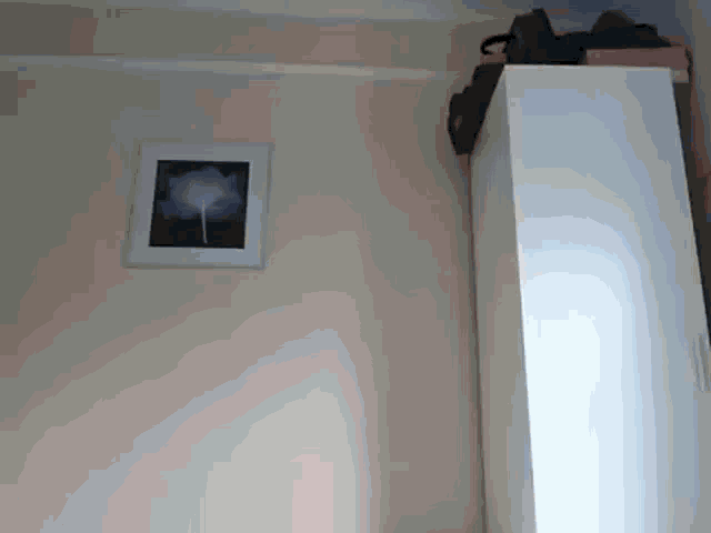 a picture of a tree hangs on a wall next to a white closet