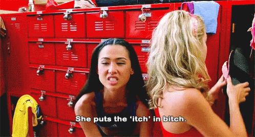 Bring It On Bitch GIF - Bring It On Bitch Pissed GIFs