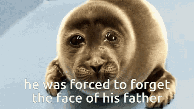a seal with the words he was forced to forget the face of his father