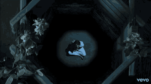 a person sitting in a dark room with flowers and the word vevo on the bottom