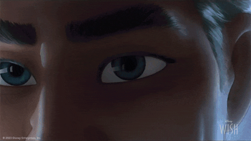 a close up of a person 's eyes with a disney wish logo