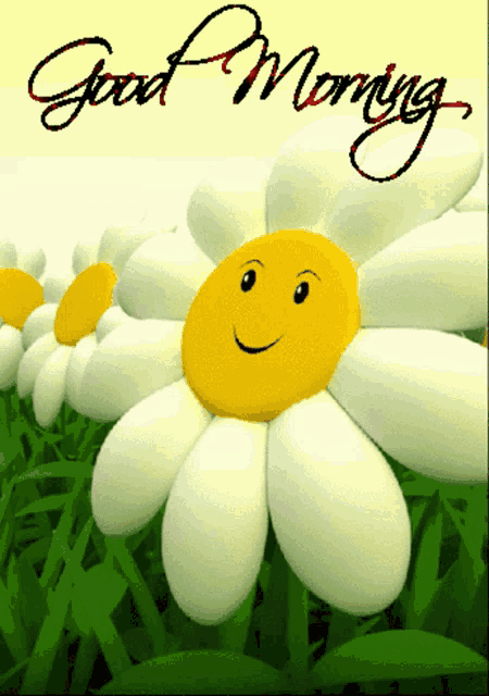 a white flower with a yellow face and the words good morning on the bottom