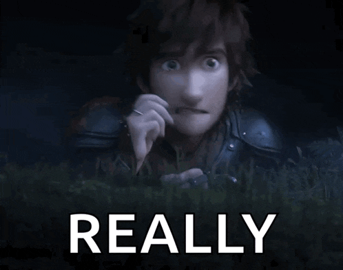 a picture of hiccup from how to train your dragon with the word really above him