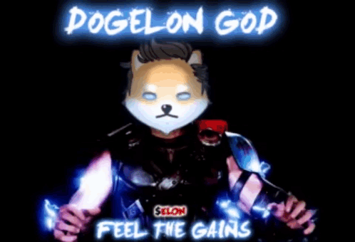 Thor Doge GIF - Thor Doge Dogelon GIFs