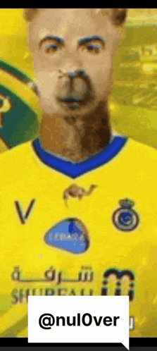 a cartoon of a llama wearing a yellow and blue jersey