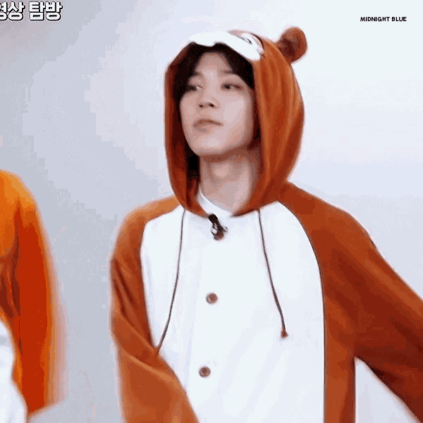 a young man is wearing a bear costume with a hood and ears .
