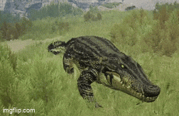 a large crocodile is laying in the grass .