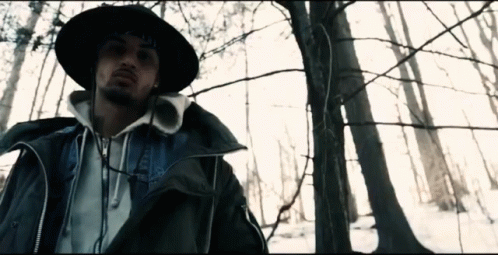 In The Woods Music Video GIF - In The Woods Music Video Amir Obè GIFs