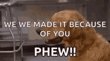 a dog is saying `` we we made it because of you phew !! ''