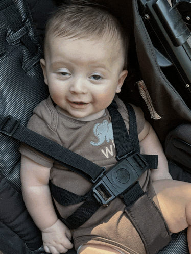 a baby wearing a brown shirt with an elephant on it is sitting in a car seat