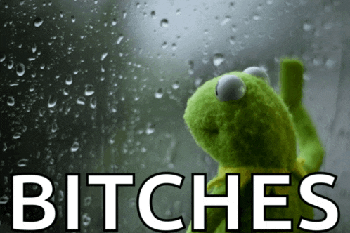 a kermit frog is looking out a window with the words bitches written below him