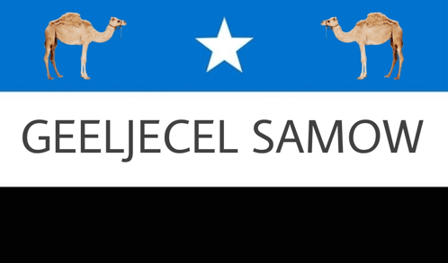 Calanka Beesha Gaaljecel Samow Gaaljecel Flag GIF - Calanka Beesha Gaaljecel Samow Gaaljecel Flag Geeljecel Flag GIFs