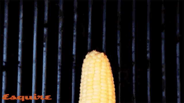 the word grill is on a black background with a picture of corn on the cob