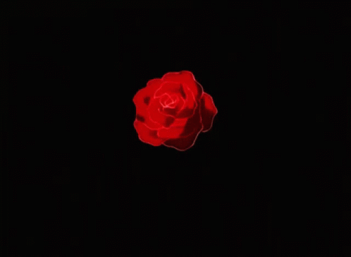 Cute Red GIF - Cute Red Rose GIFs