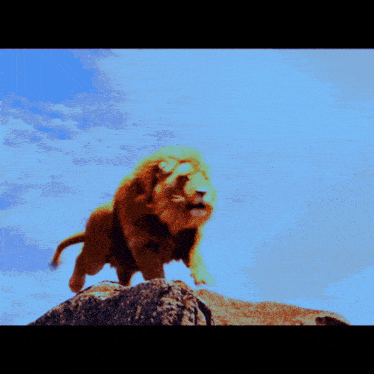 a lion standing on a rock with a blue sky behind it