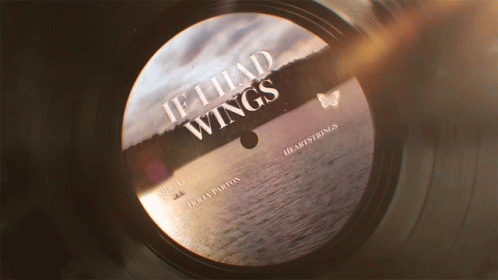 If I Had Wings Record GIF - If I Had Wings Record Song GIFs