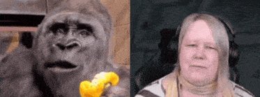 a gorilla and a woman wearing headphones are next to each other .