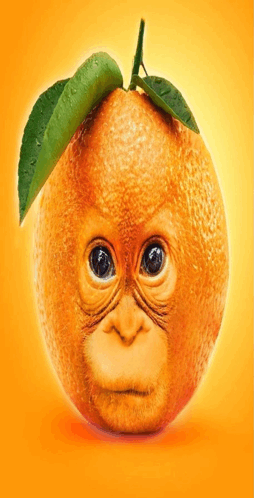 Monkeyorangeeeewe GIF - Monkeyorangeeeewe GIFs