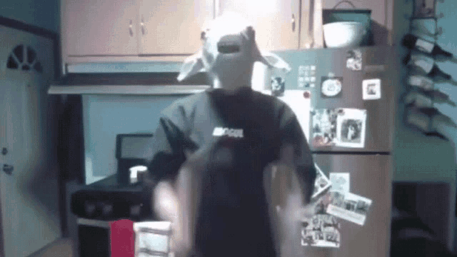 a man wearing a goat mask is standing in front of a refrigerator that has a picture of a woman on it