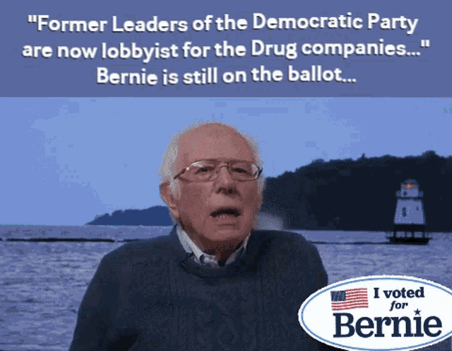 Bernie Vote GIF - Bernie Vote Dnc GIFs