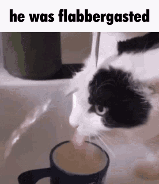 Flabbergasted GIF - Flabbergasted GIFs