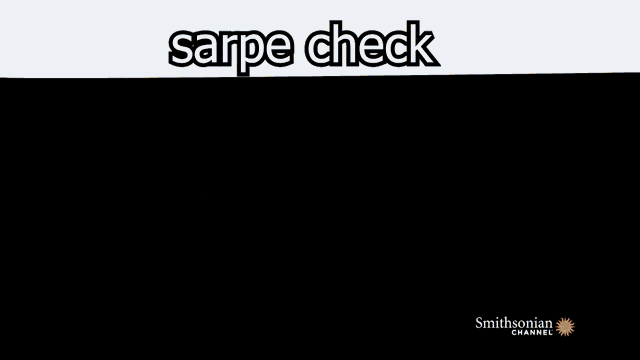 Sarpe Check Sarpe GIF - Sarpe Check Sarpe GIFs