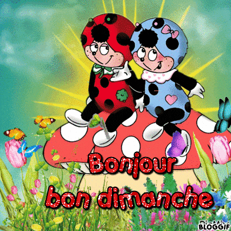 two ladybugs sitting on top of a mushroom with the words bonjour bon dimanche