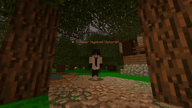 a person in a minecraft game with a sign that says skywar hupixel veteran