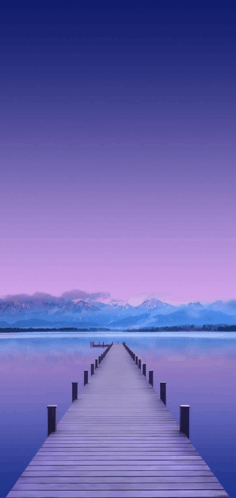 Purple GIF - Purple GIFs