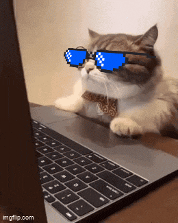 a cat wearing sunglasses and a bow tie is sitting in front of a laptop