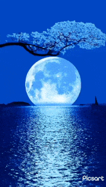a full moon rises over a body of water with a tree in the foreground