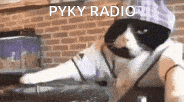 Pyky Radio Discod GIF - Pyky Radio Pyky Discod GIFs
