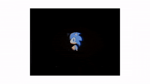 Silver Shadow The Hedgehog GIF
