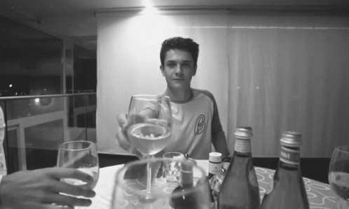 Kungs Toast GIF - Kungs Toast Cheers GIFs