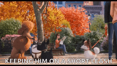 a man is walking two dogs on a leash in a park while a woman sits on a bench .