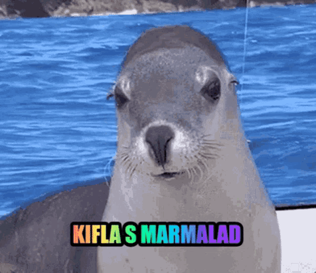 a seal on a boat with the words kifla 's marmalad on it