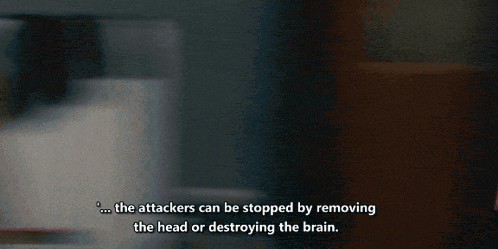 a man on a news channel with the words " the attackers can be stopped by removing the head or destroying the brain " below him