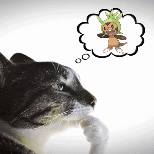 a cat is thinking about a pokemon with a thought bubble above its head