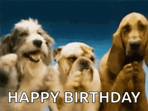 three dogs are standing next to each other with the words " happy birthday " written below them