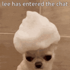 a small dog wearing a foam hat with the words lee has entered the chat above it