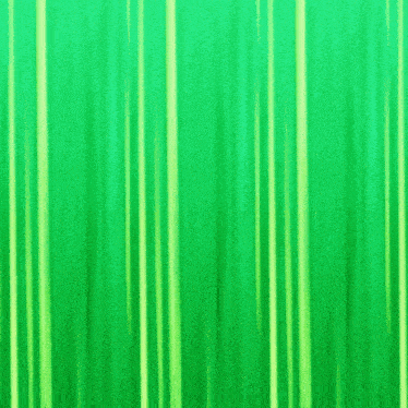 a cartoon squirrel wearing sunglasses and a sash with the letter b on it stands in front of a green background